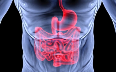 Biomimetic Three Dimensional Cell Culturing: Colorectal Cancer Micro-Tissue Engineering