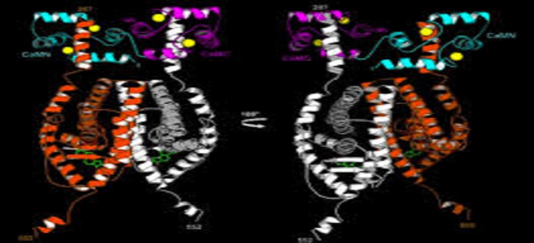 Promoter Methylation and Loss of Expression of PTEN Gene in Breast Cancer Patients from Saudi Population