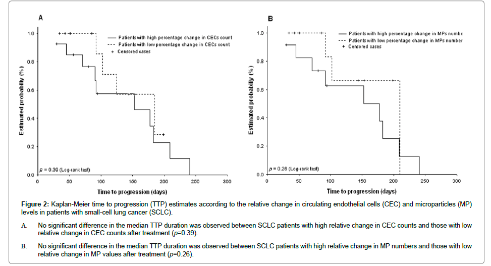 Changes of Circulating Endothelial Cells and Microparticles after Conventional Chemotherapy in Patients with Extensive Small-Cell Lung Cancer: Relevance to Prognosis and Treatment Response
