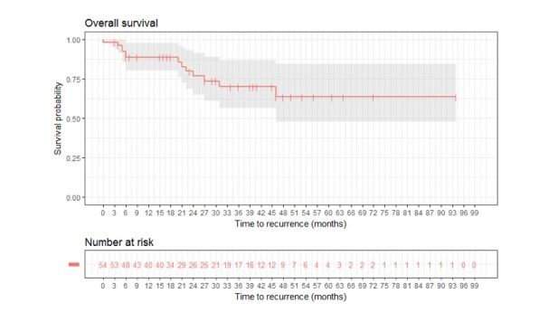 Patterns of Outcome in Human Papilloma Virus Positive Oropharyngeal Squamous Cell Carcinoma Treated Primarily with Radical Radiotherapy