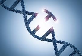 2nd World Congress on Peptide