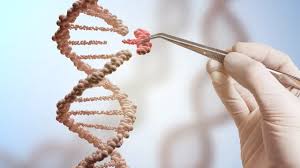 2nd World Congress on Peptide