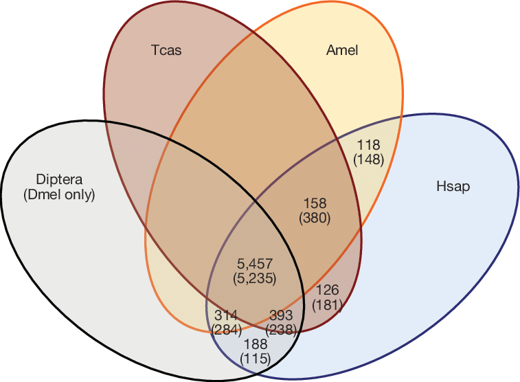 Metabolic Syndrome X