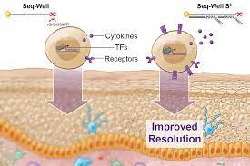 Removal of DNA Fragment