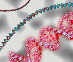 Assessment of Genetic Drift in Large Pharmacogenomic Studies