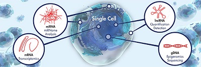Emerging Techniques in Single-Cell Epigenomics and their Applications to Cancer Research