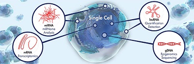 Emerging Techniques in Single-Cell Epigenomics and their Applications to Cancer Research