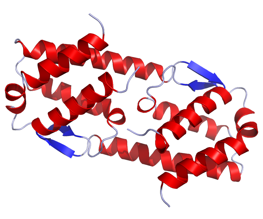 Interleukin 25 and Systemic Lupus Erythematosus