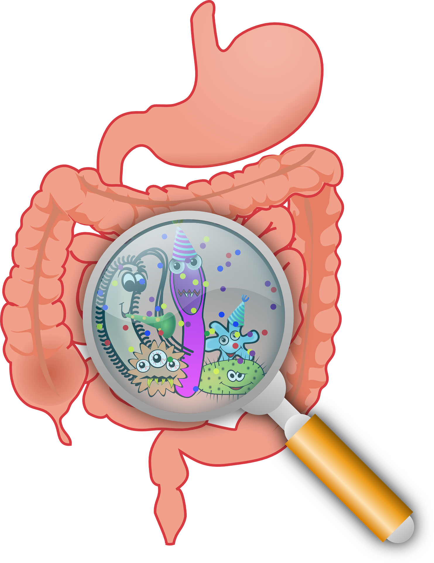 Systematic Review on Effects of Diet on Gut Microbiota in Relation to Metabolic Syndromes