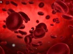 A Comparison of Three Simple, Rapid Methods for Red Blood Cell Removal from Whole Blood, Which are Suitable for Measuring Biomarkers at the Point of Care