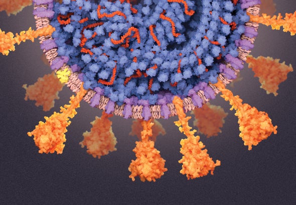 A Review Paper on the Current Diagnostic Approaches for the SARS-CoV-2