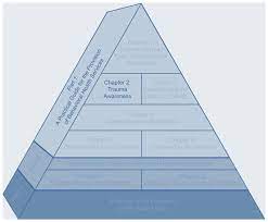 Pervasiveness of Crisis Division Visits for Injury