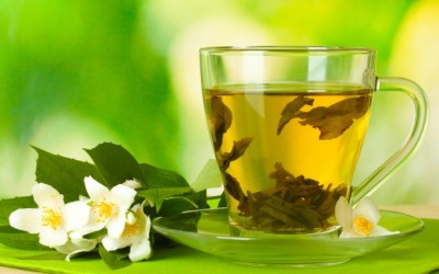 Green Tea Supplementation: Current Research, Literature Gaps, and Product Safety