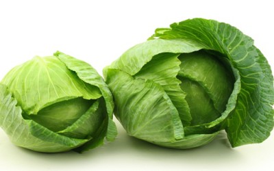 Application of Antibrowning Agents in Minimally Processed Cabbage