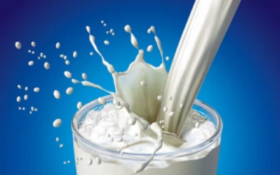 Assessment of Chemical and Microbiological Quality of Pasteurized Milk Sold in Wad Medani Market, Gezira State, Sudan
