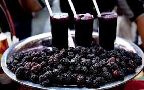 Blackberry (Rubus sp. var. Loch Ness) Extract Reduces Obesity Induced by a Cafeteria Diet and
Affects the Lipophilic Metabolomic Profile in Rats