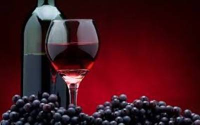 Polyphenolics from Black Spanish Red Wine (Viti's 