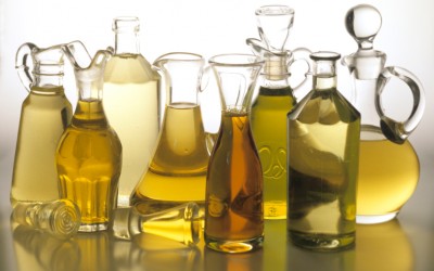 Effects of Calorie Restriction and Soybean and Olive Oils on Oxidative Stress in Obese
