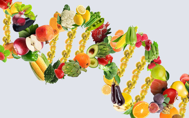 A Perspective on Nutrition and Cancer