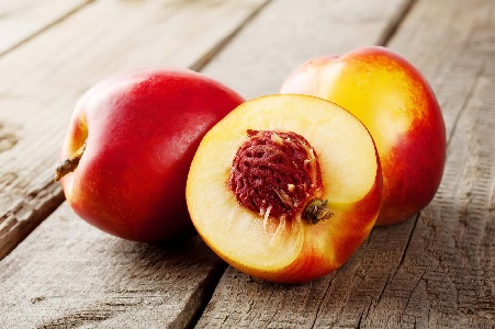 Sensory Quality and Shelf life of Nectarine (Prunus persica (L.) Batsch var. Nucipersica) Fruits Influenced by Calcium Chloride Dipping and Beeswax Coating