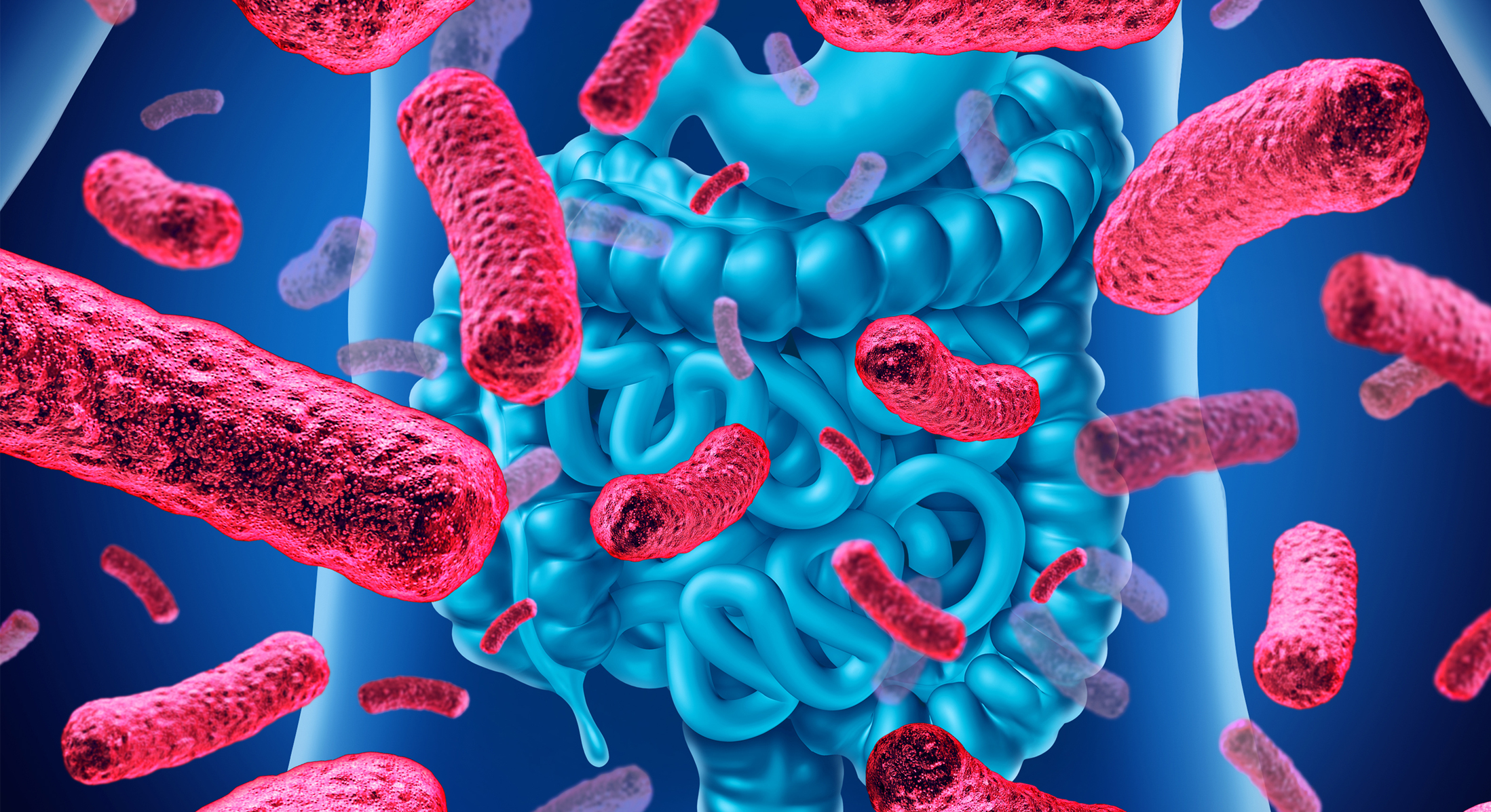 Effect of Probiotics on Gut Microbiota