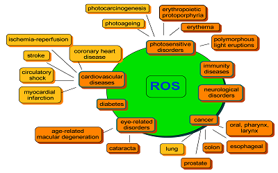 Results of Aggregate of Beta Carotene and Nutrition a on Lung Cancer and Cardiovascular Disease