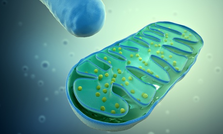 Mitochondrial Inhibitors and Alteration in Bioenergetics-the Dose makes the Poison