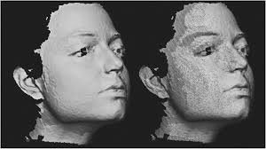 A Method for Automatic Forensic Facial Reconstruction Based on Dense Statistics of Soft Tissue Thickness