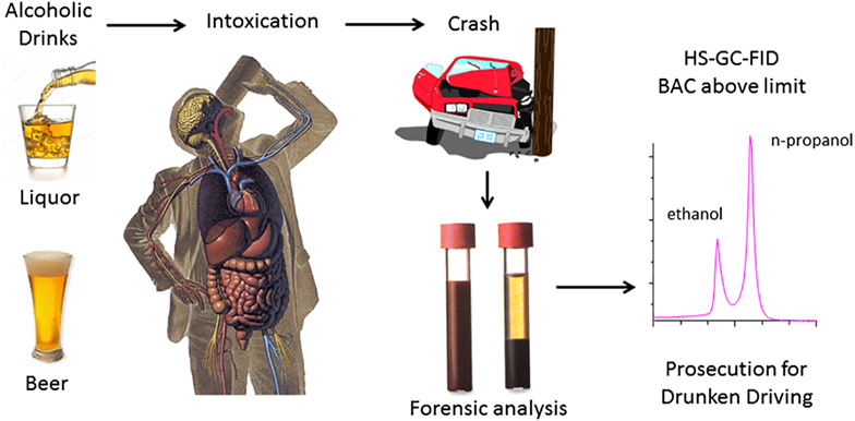 Intoxications as Interpretation Tools in Forensic Cases
