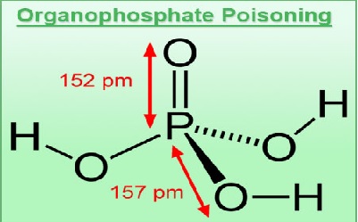 Organophosphorus Compound Poisoning- Demographic Profile in Gandhinagar, Gujarat