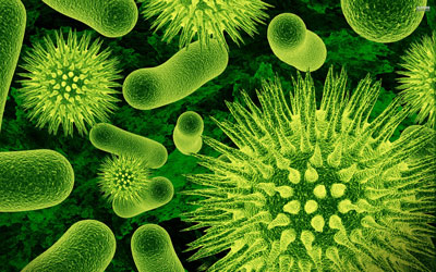 Can Bacteria Subsist on Antibiotics?