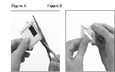 An Unusual Homicide Involving Strangulation after Transdermal Fentanyl and Buprenorphine
Intoxication