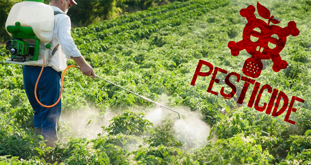 Positive Invention but Negative Utilization- A Study on Using Pesticide and Increasing Carcinogenic Effect on Human