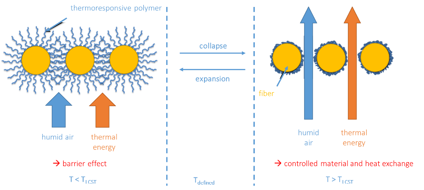 Functionalization of Textiles with Thermoresponsive Polymers