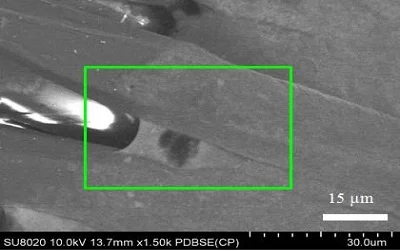 Volatile Organic Compounds (VOCs) Treatment by a Functionalized Textile