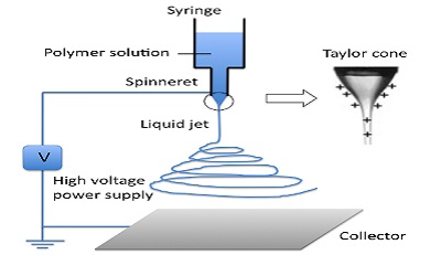 Effect of Electrospinning Parameters on Fiber Morphology of Tissue Engineering Scaffolds: A Review