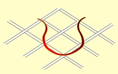 Loop Length Model of Fillet Structure