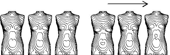 Three Dimensional Shapes Analysis for Digital Fashion: Relation among Women's Trunk, Breast, and Abdomen