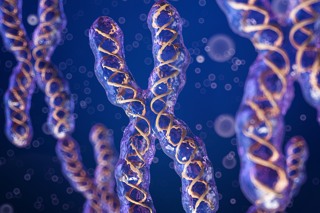 Chromosomal Shakiness and Aneuploidy as Reasons for Disease Drug Obstruction