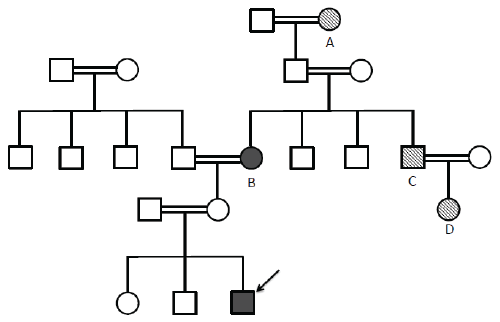 A Case of Wolf-Hirschhorn Syndrome and Familial Mediterranean Fever