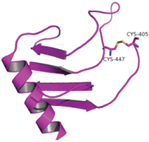 Same Mutation in Two Patients with Mucopolysaccharidosis Type VI (Maroteaux-Lamy Syndrome) Coming from Different Municipalities in the Department of Cauca, Southwestern Colombia