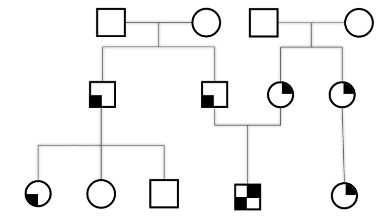 Rare Unusual Coincidence of Leri–Weill Dyschondrosteosis Resulting from a Downstream Enhancer Deletion of SHOX Gene and Neurofibromatosis Type 1