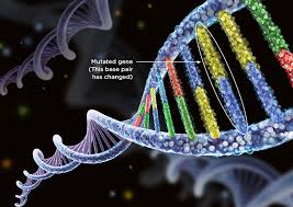 A Case of MEN2A Associated with a C634R De-novo Mutation of the RET Gene at Algiers