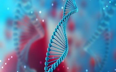 DNA: Desoxyribonucleic Acid