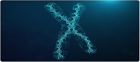 Understanding Genes and Chromosomes