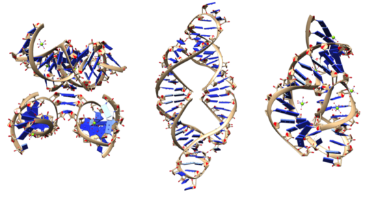 Lymphoblastic Cell Lines