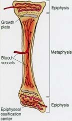 Growth Abnormalities Resulting in Short Stature in Genetic Syndromes