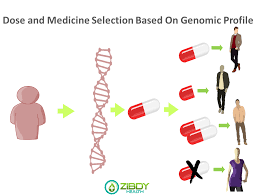 Utilization of Customized Medication Incorporate Oncogenomics and Pharmacogenomics