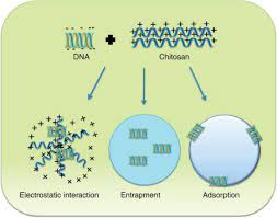 Strategies for Non-Viral Quality Treatment