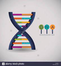 Huge Scope Transformations in Chromosomal Design